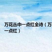 万花丛中一点红全诗(万花丛中一点红)