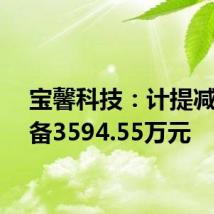 宝馨科技:计提减值准备3594.55万元