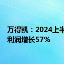 万得凯:2024上半年净利润增长57%