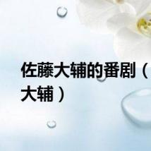 佐藤大辅的番剧（佐藤大辅）