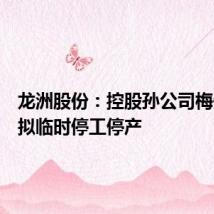 龙洲股份:控股孙公司梅州华奥拟临时停工停产