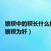 狼狈中的狈长什么样子(狼狈为奸)