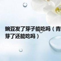 豌豆发了芽子能吃吗(青豌豆发芽了还能吃吗)