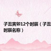 子丑寅卯12个时辰(子丑寅卯12时辰名称)