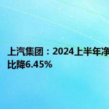 上汽集团:2024上半年净利润同比降6.45%