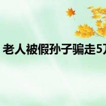 老人被假孙子骗走5万元