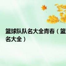 篮球队队名大全青春(篮球队队名大全)