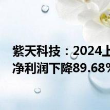 紫天科技:2024上半年净利润下降89.68%