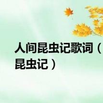 人间昆虫记歌词（人间昆虫记）
