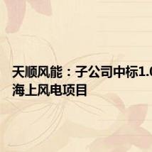 天顺风能:子公司中标1.06亿元海上风电项目