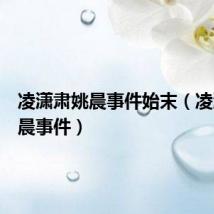 凌潇肃姚晨事件始末(凌潇肃姚晨事件)
