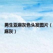 男生亚麻灰色头发图片（男生亚麻灰）