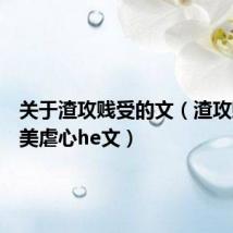 关于渣攻贱受的文(渣攻贱受耽美虐心he文)