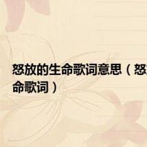 怒放的生命歌词意思(怒放的生命歌词)