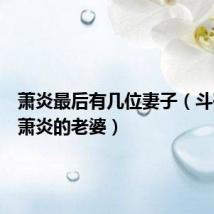 萧炎最后有几位妻子(斗破苍穹萧炎的老婆)