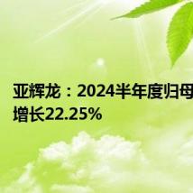 亚辉龙:2024半年度归母净利润增长22.25%