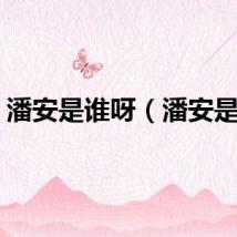 潘安是谁呀（潘安是谁）