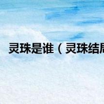 灵珠是谁（灵珠结局）