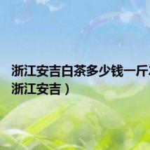 浙江安吉白茶多少钱一斤2023(浙江安吉)