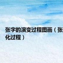 张字的演变过程图画(张字的变化过程)