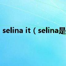 selina it(selina是谁)