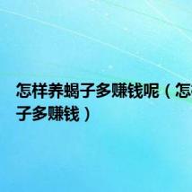 怎样养蝎子多赚钱呢(怎样养蝎子多赚钱)