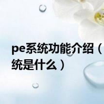 pe系统功能介绍(pe系统是什么)