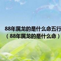 88年属龙的是什么命五行缺什么(88年属龙的是什么命)