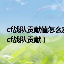cf战队贡献值怎么获得(cf战队贡献)