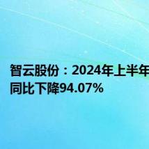 智云股份:2024年上半年净利润同比下降94.07%