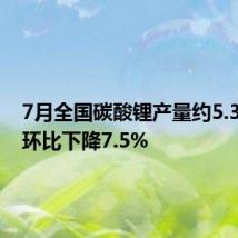 7月全国碳酸锂产量约5.3万吨,环比下降7.5%