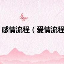 感情流程（爱情流程图）