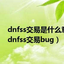 dnfss交易是什么意思(dnfss交易bug)