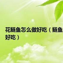 花鲢鱼怎么做好吃（鲢鱼怎么做好吃）