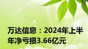 万达信息：2024年上半年净亏损3.66亿元