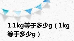 1.1kg等于多少g（1kg等于多少g）