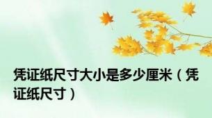 凭证纸尺寸大小是多少厘米（凭证纸尺寸）