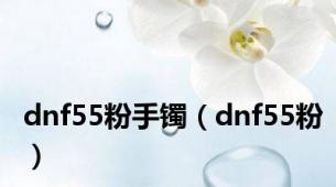 dnf55粉手镯（dnf55粉）