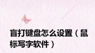 盲打键盘怎么设置（鼠标写字软件）