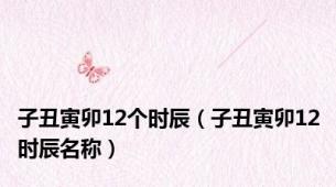 子丑寅卯12个时辰（子丑寅卯12时辰名称）