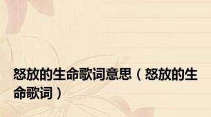怒放的生命歌词意思（怒放的生命歌词）