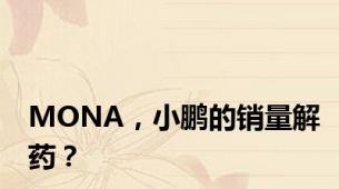 MONA，小鹏的销量解药？