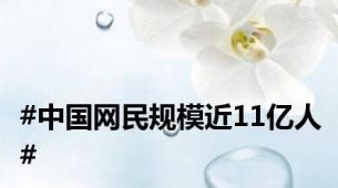 #中国网民规模近11亿人#