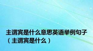 主谓宾是什么意思英语举例句子（主谓宾是什么）