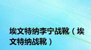 埃文特纳李宁战靴（埃文特纳战靴）