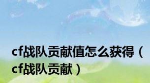 cf战队贡献值怎么获得（cf战队贡献）