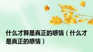 什么才算是真正的感情（什么才是真正的感情）