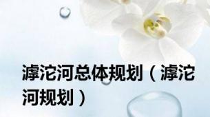 滹沱河总体规划（滹沱河规划）