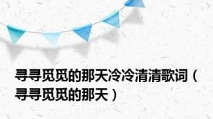 寻寻觅觅的那天冷冷清清歌词（寻寻觅觅的那天）
