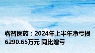 睿智医药：2024年上半年净亏损6290.65万元 同比增亏